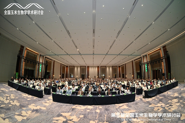 640 (1).png