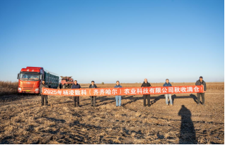 231761208224157956.png 1.png