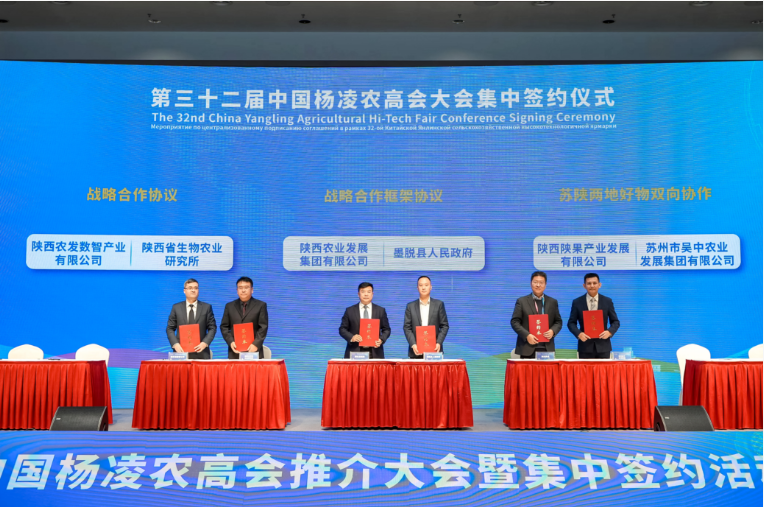 261761479834191059.png image.png