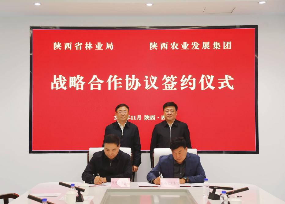 101762776301213188.jpeg IMG_2042.jpeg