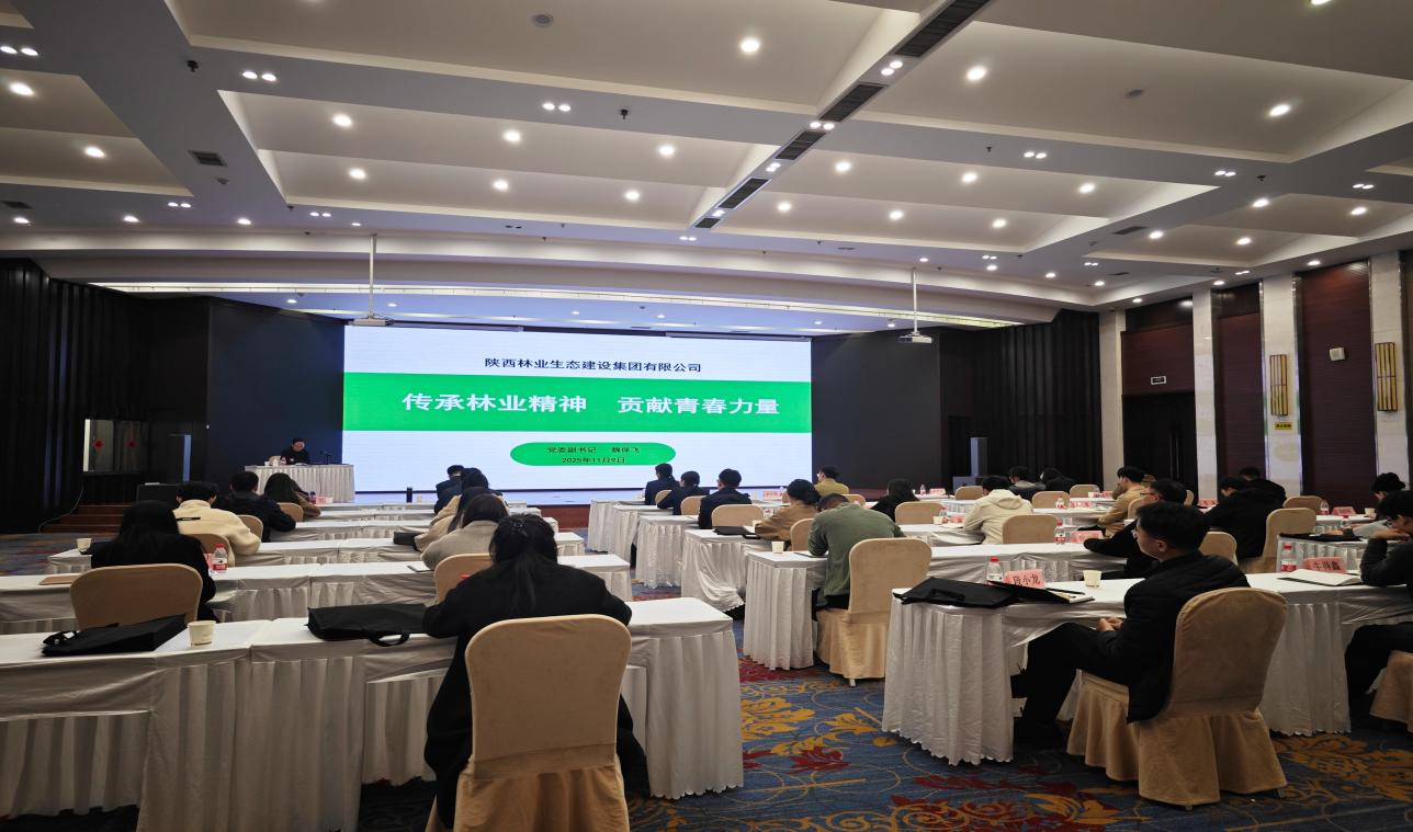 111762845161827143.png 图片2.png