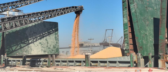 211763708318184372.png image.png