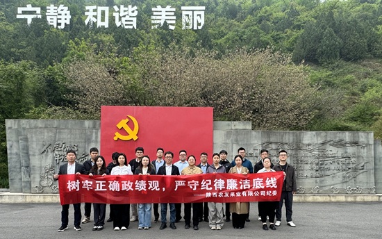 适配网站图.jpg