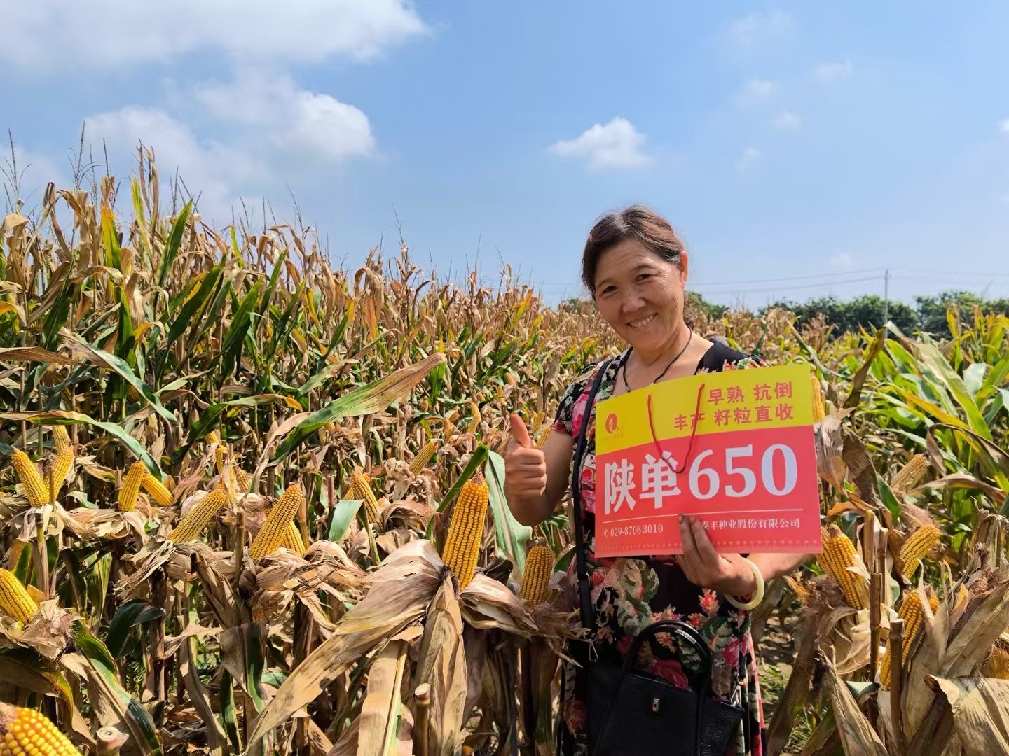 241777000311183713.jpg 微信图片_20230913152744.jpg